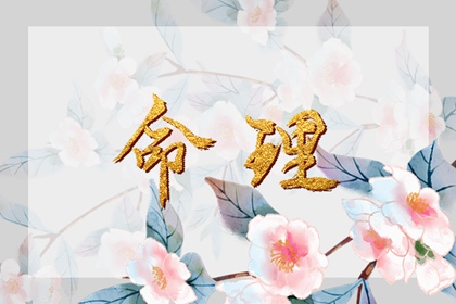 老皇历万年历,老皇历,皇历